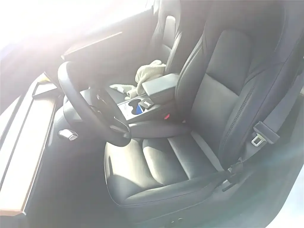 Tesla Model 3 2021 из CN, фото 8