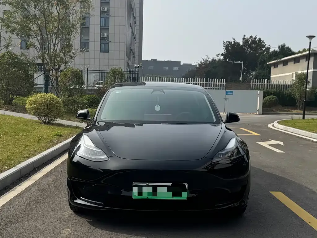Tesla Model 3 2022 из CN, фото 2