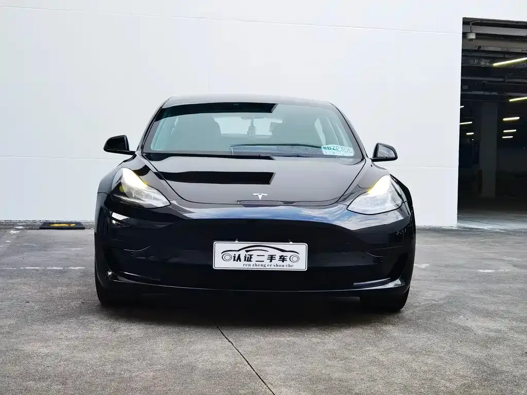 Tesla Model 3 2022 из CN, фото 2