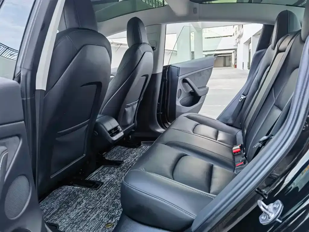 Tesla Model 3 2022 из CN, фото 9