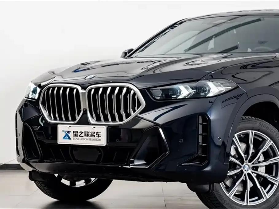 BMW X6 — фото 3