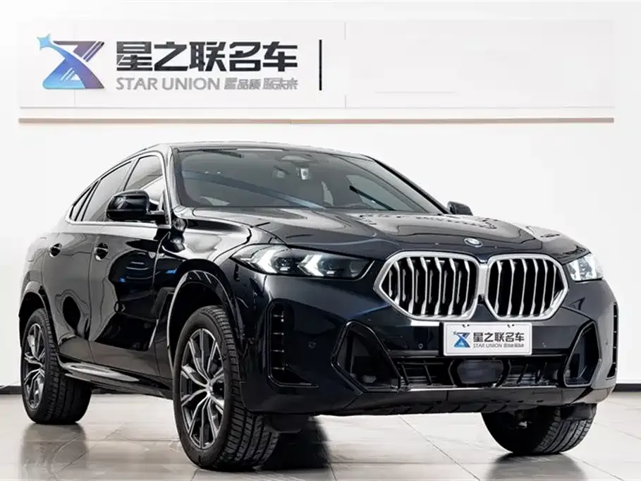 BMW X6 — фото 5