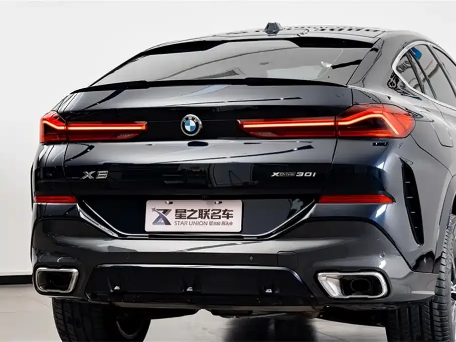 BMW X6 — фото 8