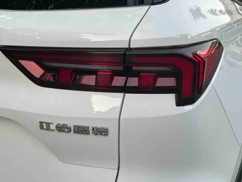 Ford Territory 2024 из CN, фото 4