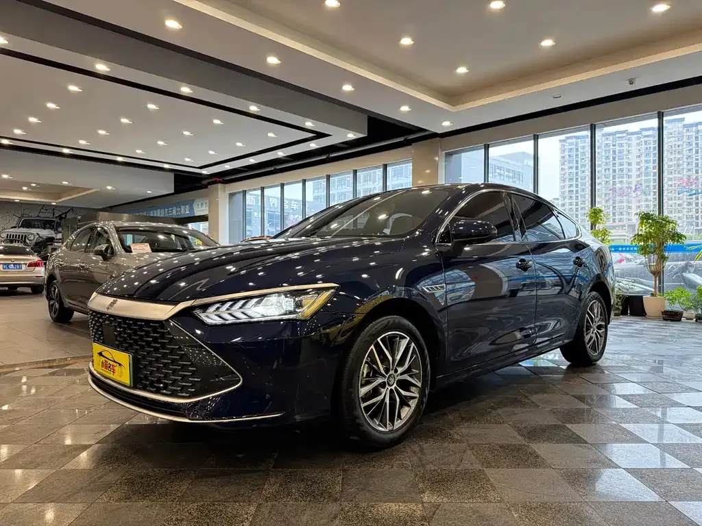 BYD Qin PLUS — фото 1