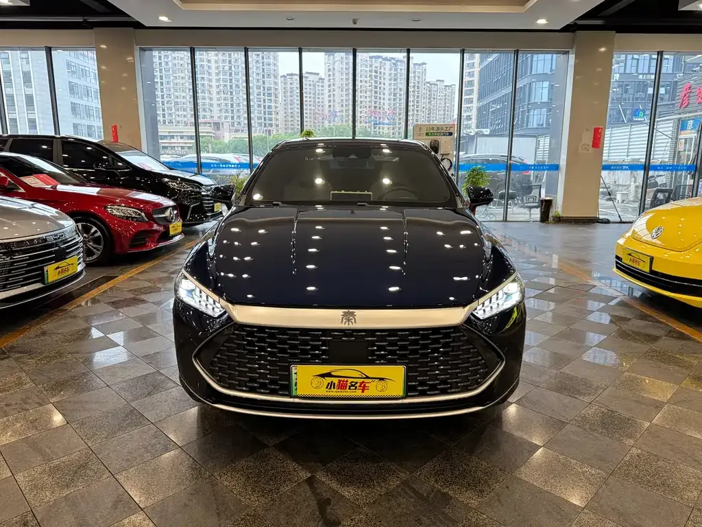 BYD Qin PLUS — фото 2