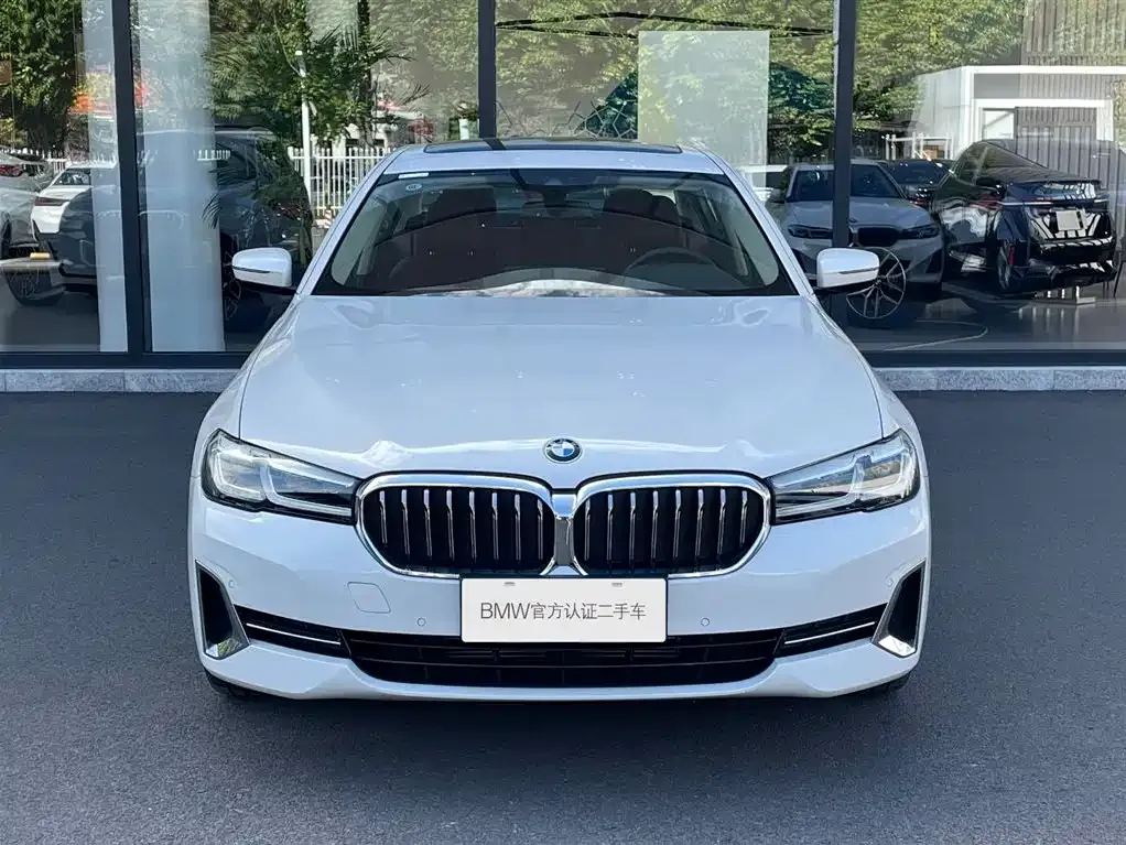 BMW 5 Series 2024 из CN, фото 2