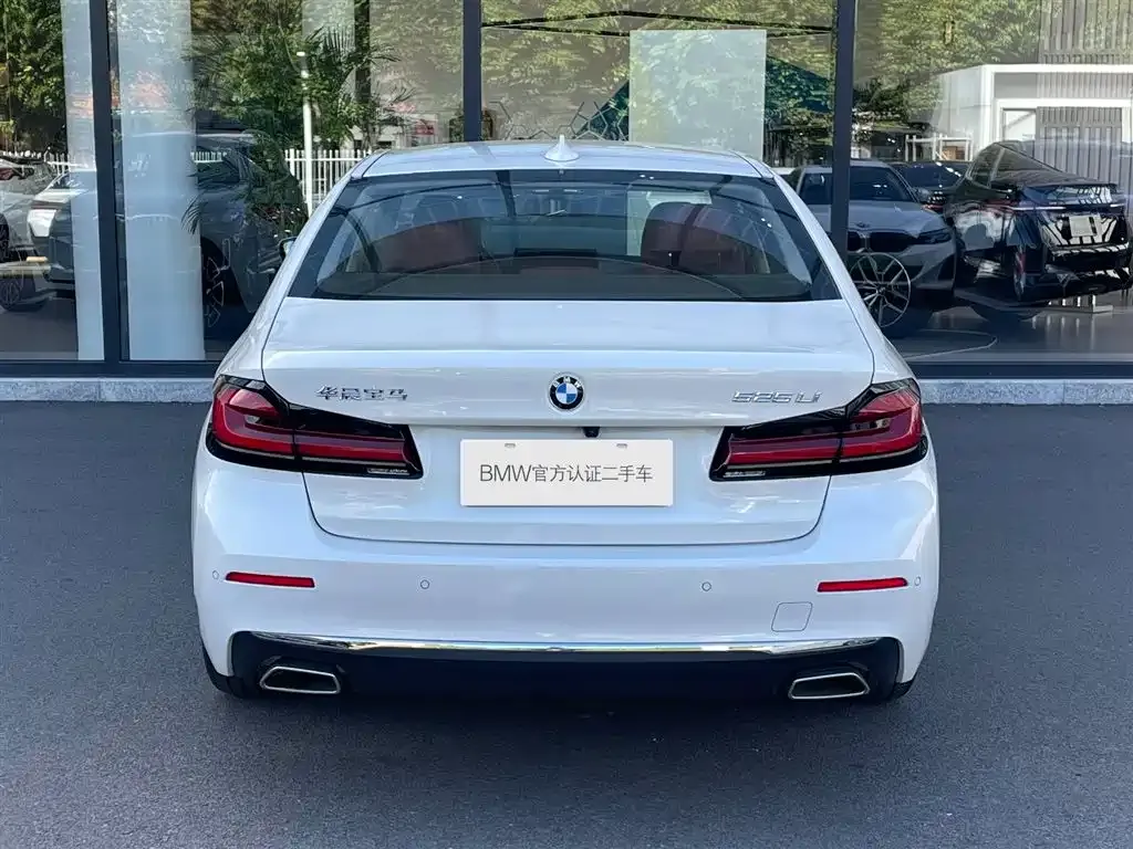 BMW 5 Series 2024 из CN, фото 3