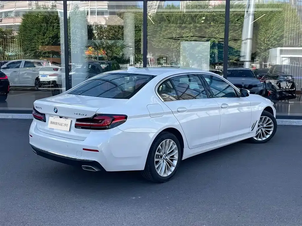 BMW 5 Series 2024 из CN, фото 5