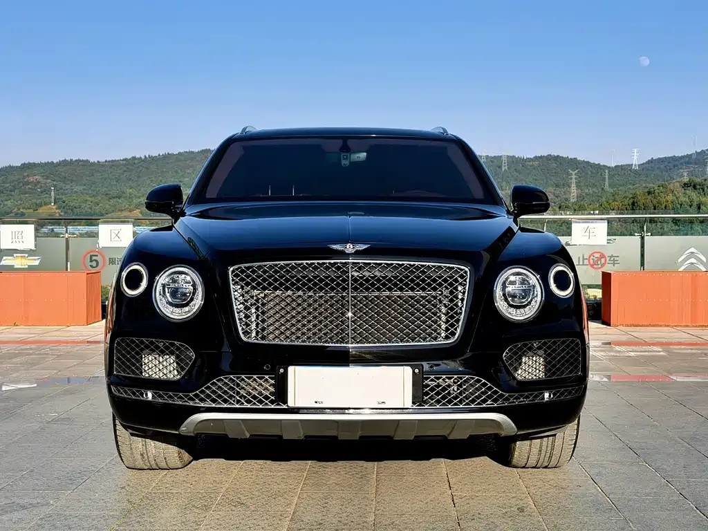 Bentley Bentayga PHEV 2022 из CN, фото 3