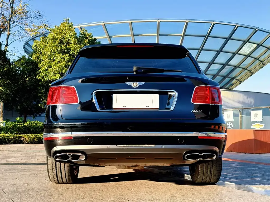 Bentley Bentayga PHEV 2022 из CN, фото 6