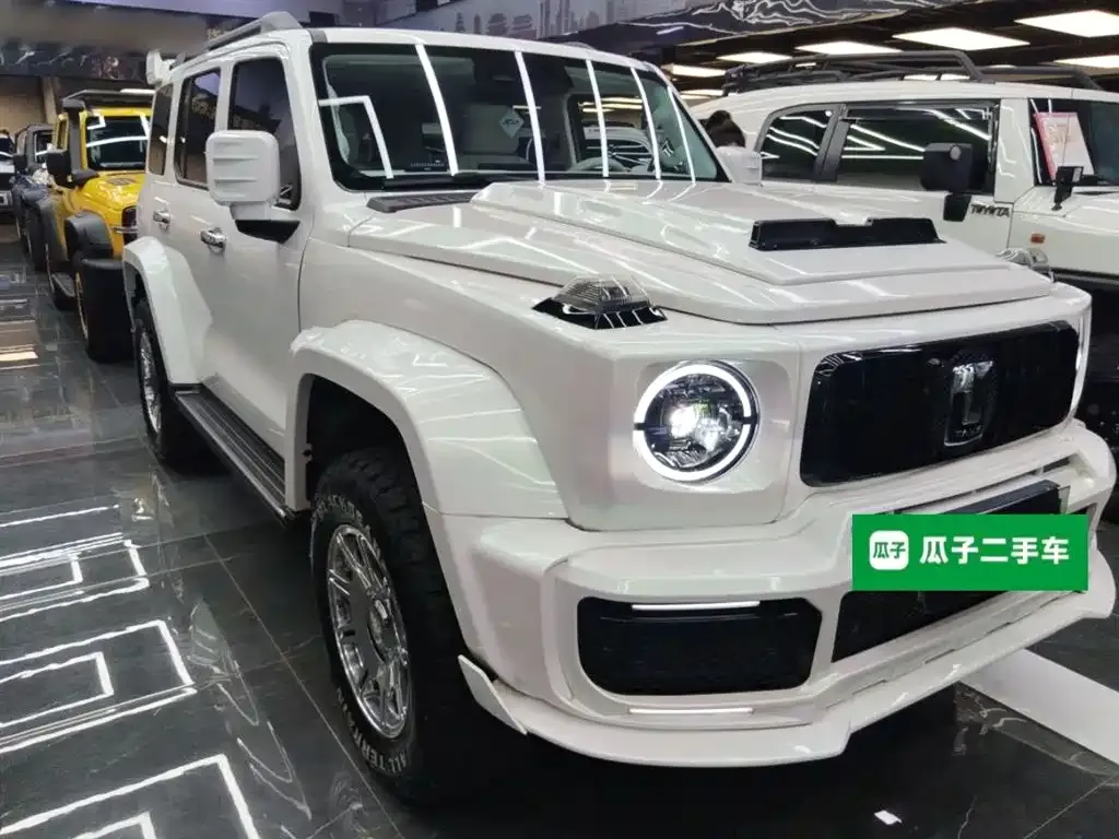 Tank 300 New Energy 2025 из CN, фото 4
