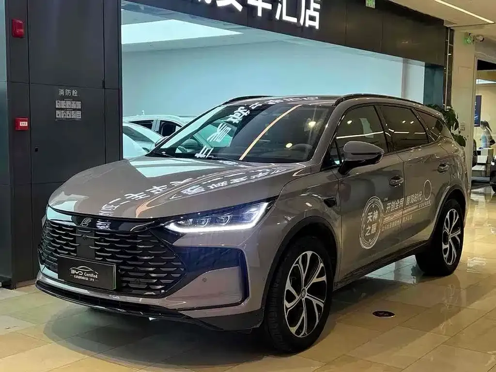 BYD Tang New Energy 2025 из CN, фото 1