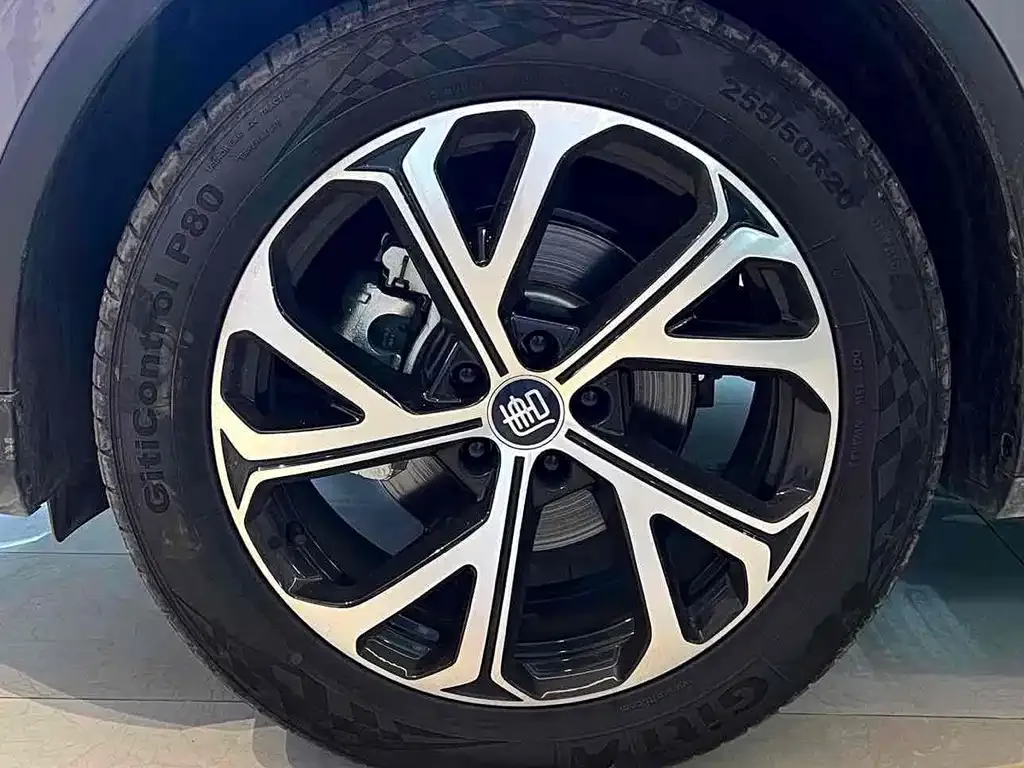 BYD Tang New Energy 2025 из CN, фото 2