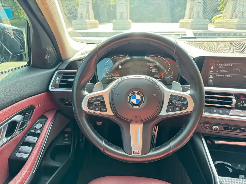 BMW 3 Series 2022 из CN, фото 7