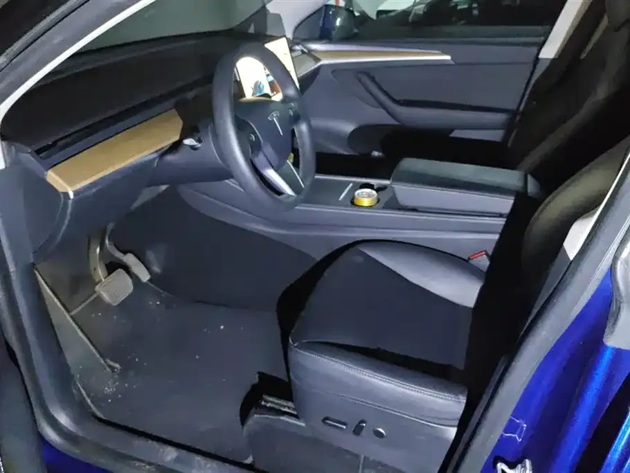 Tesla Model Y 2021 из CN, фото 9
