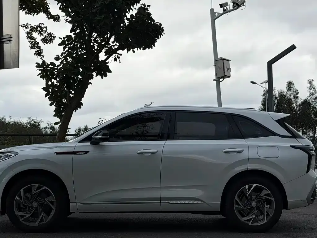Hongqi HS3 PHEV 2024 из CN, фото 10