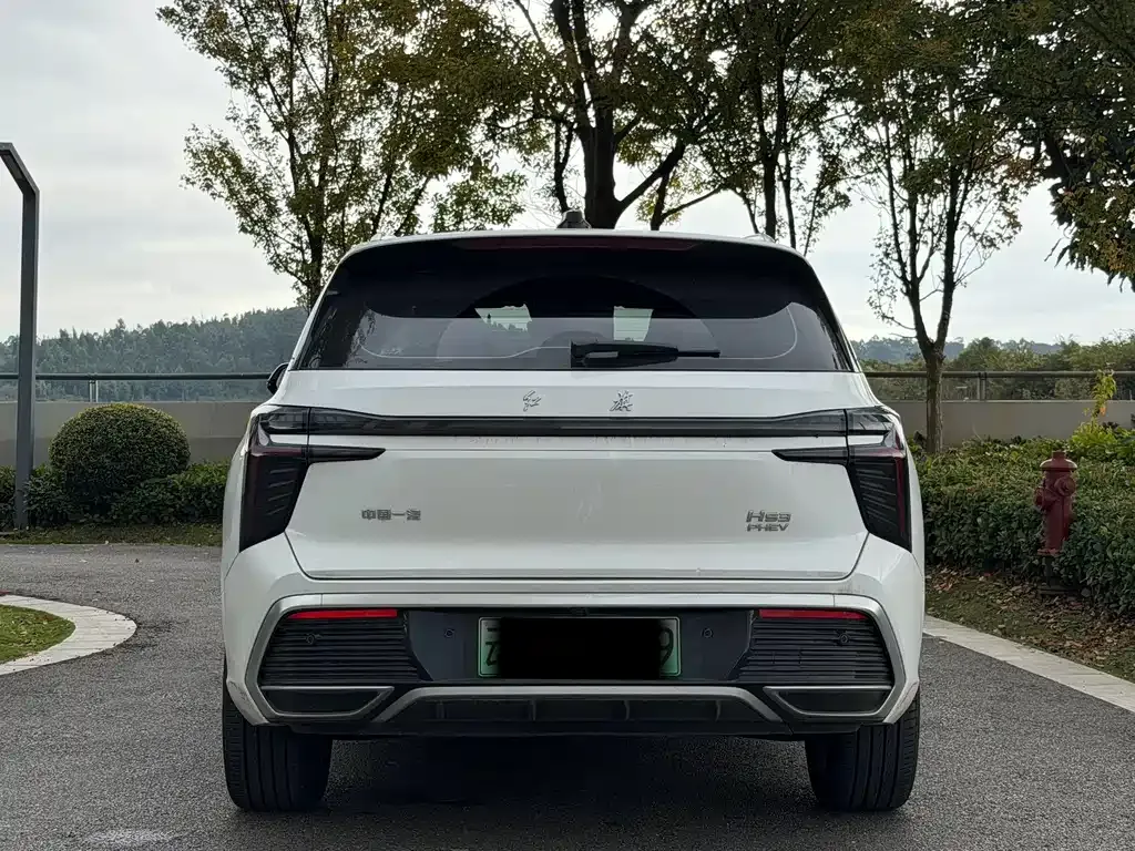 Hongqi HS3 PHEV 2024 из CN, фото 8