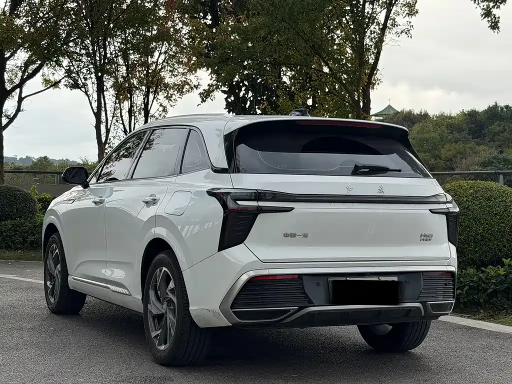 Hongqi HS3 PHEV 2024 из CN, фото 9