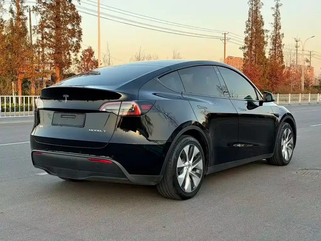 Tesla Model Y 2022 из CN, фото 4
