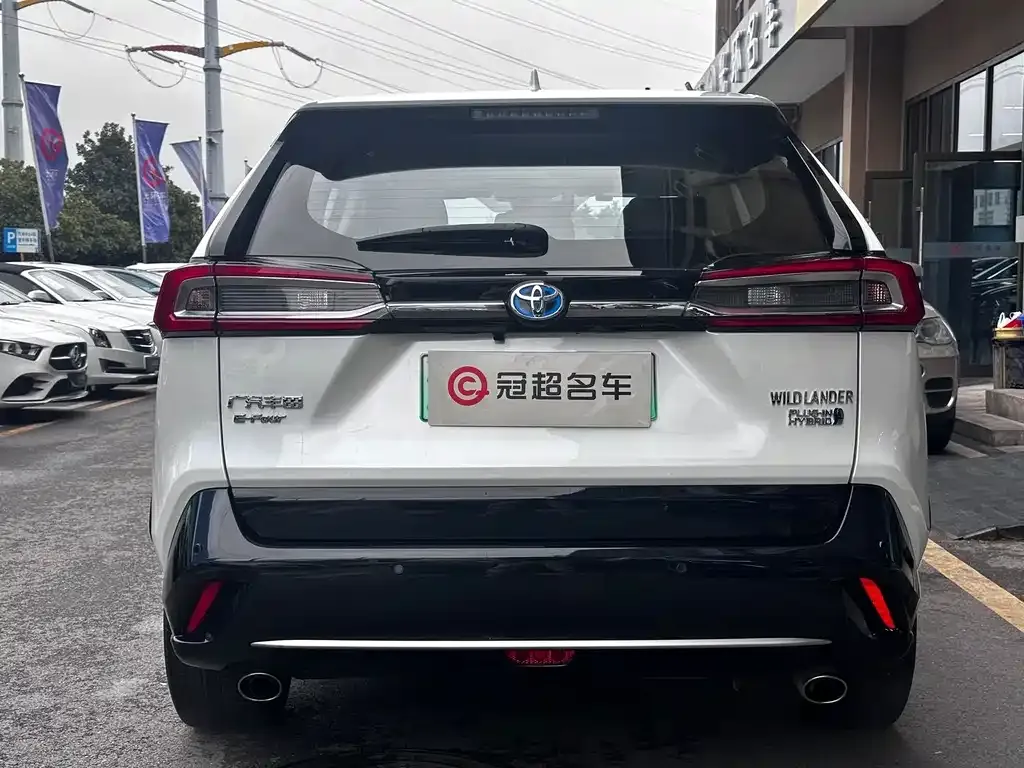 Toyota Wildlander New Energy 2021 из CN, фото 7