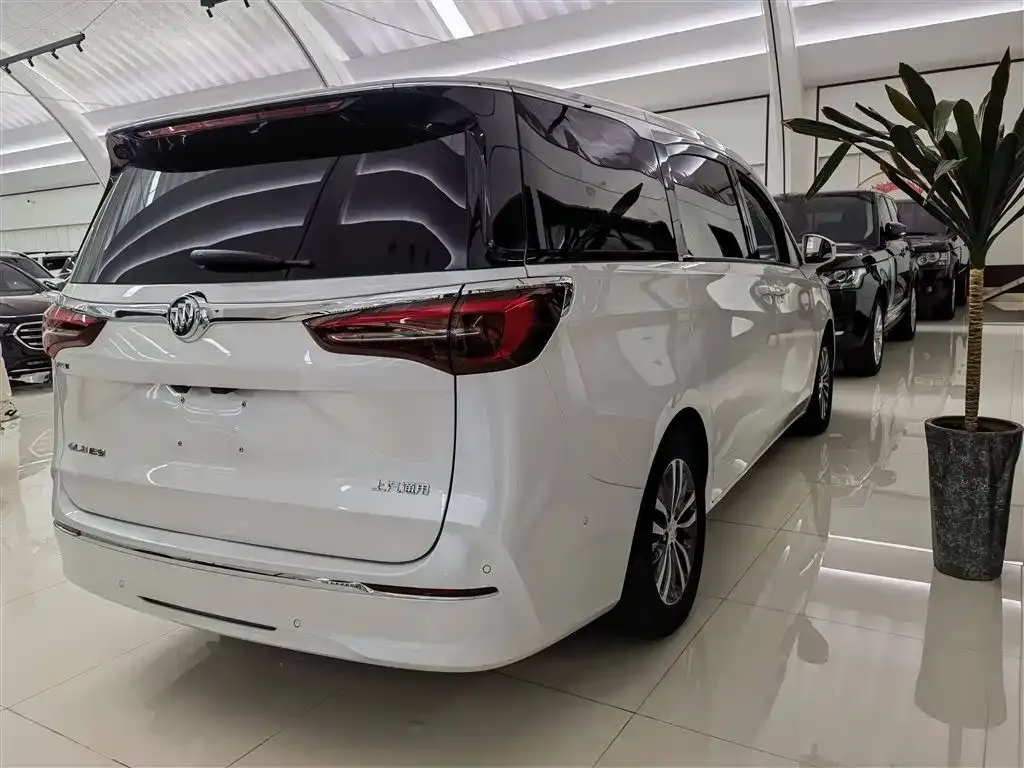 Buick GL8 2021 из CN, фото 4