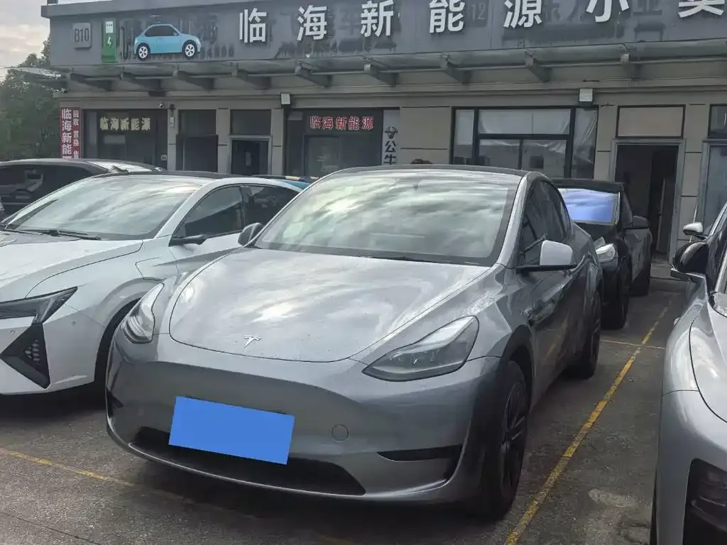 Tesla Model Y 2024 из CN, фото 2
