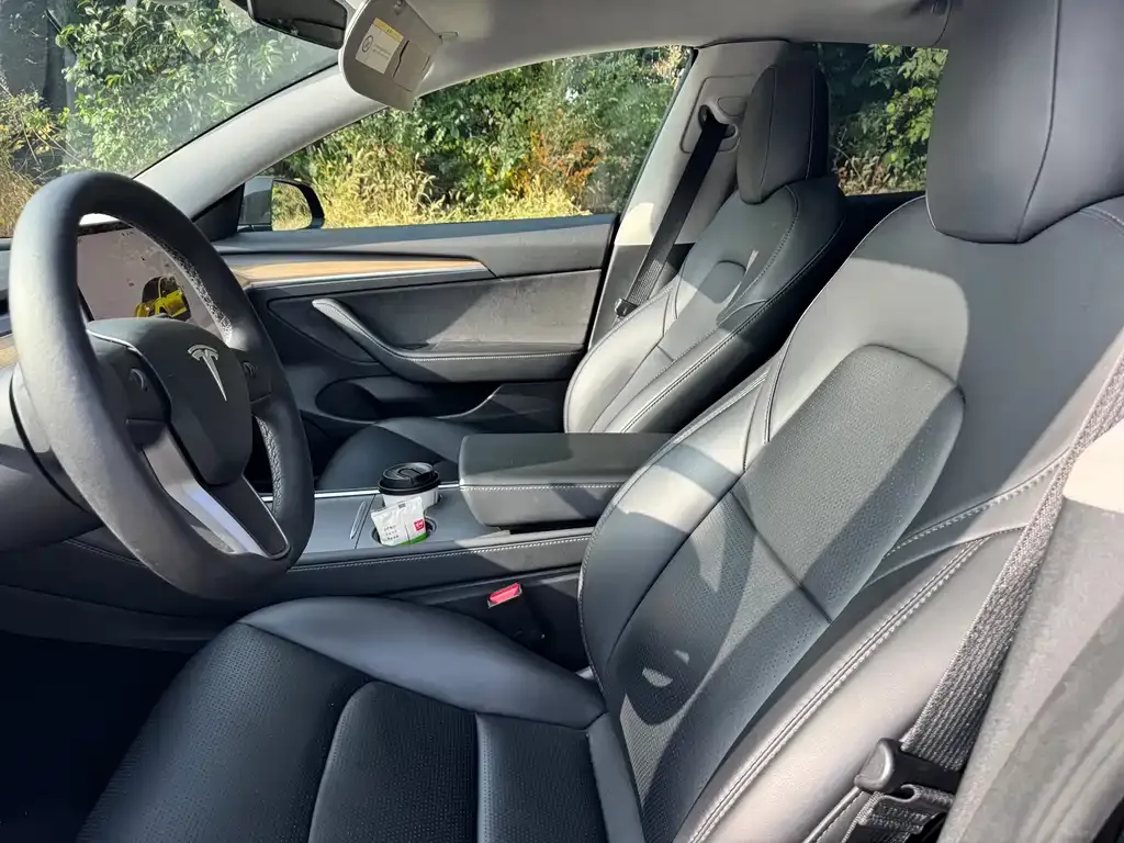 Tesla Model 3 2022 из CN, фото 10
