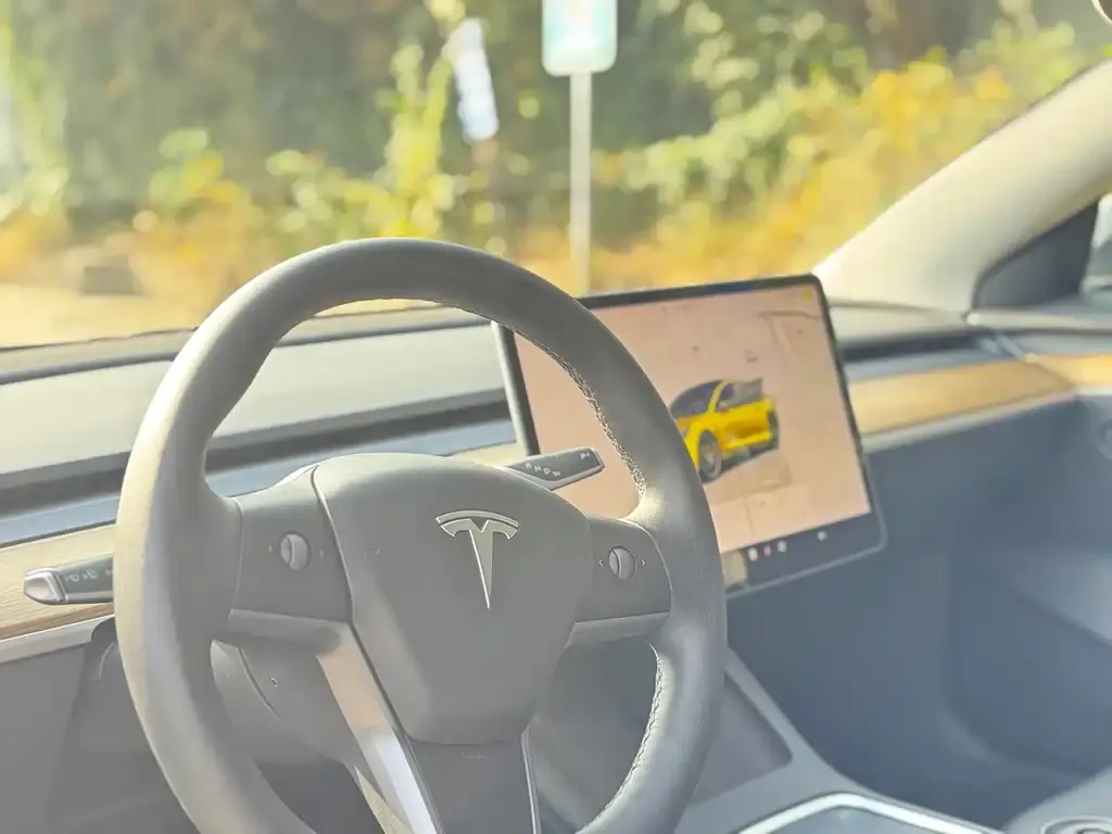 Tesla Model 3 2022 из CN, фото 4