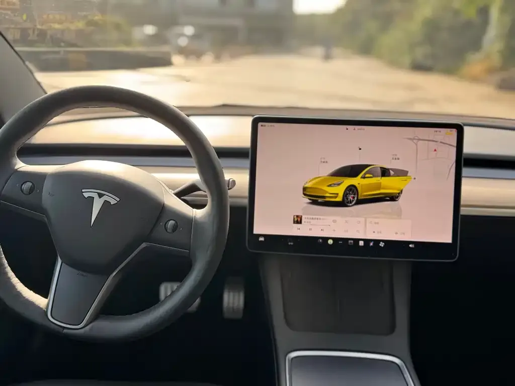 Tesla Model 3 2022 из CN, фото 5