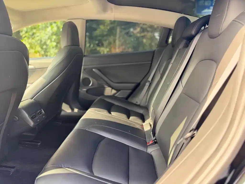 Tesla Model 3 2022 из CN, фото 6