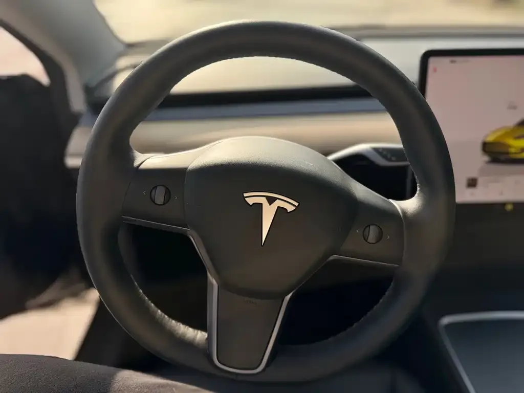 Tesla Model 3 2022 из CN, фото 7