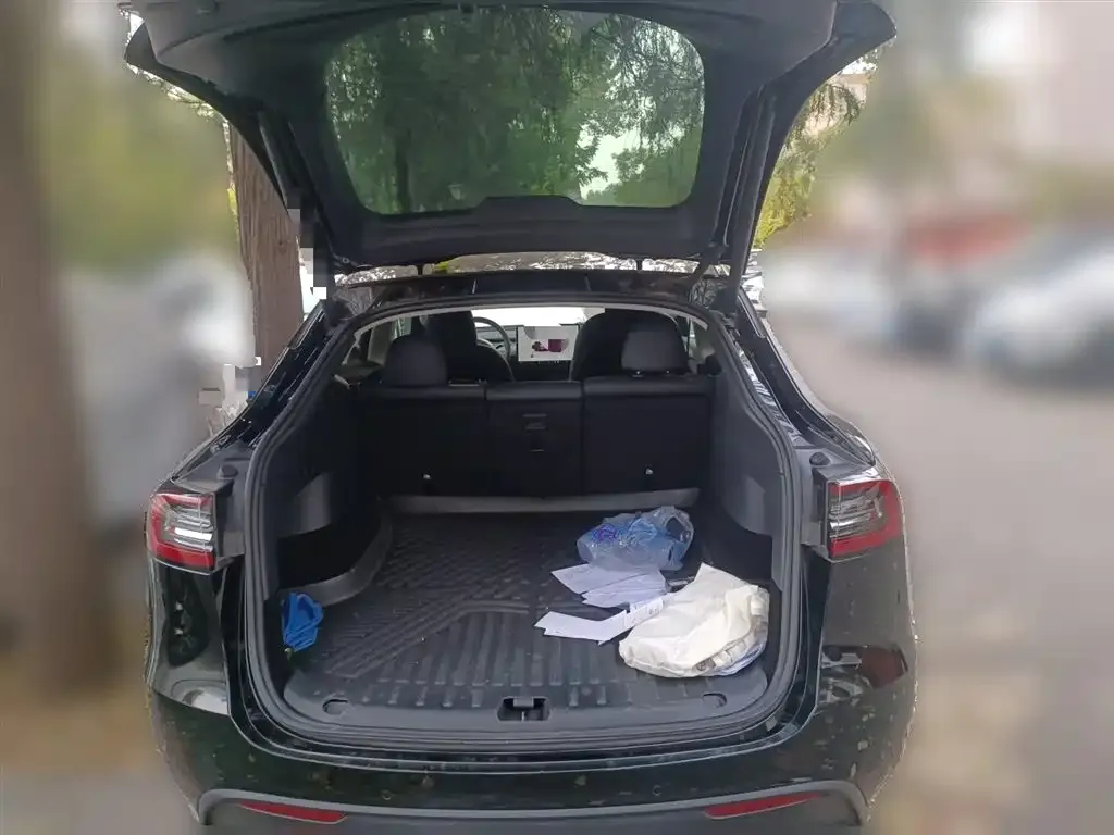 Tesla Model Y 2023 из CN, фото 10