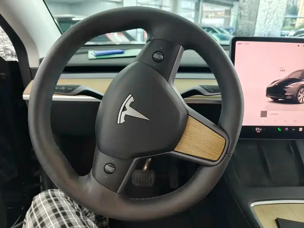Tesla Model Y — фото 6
