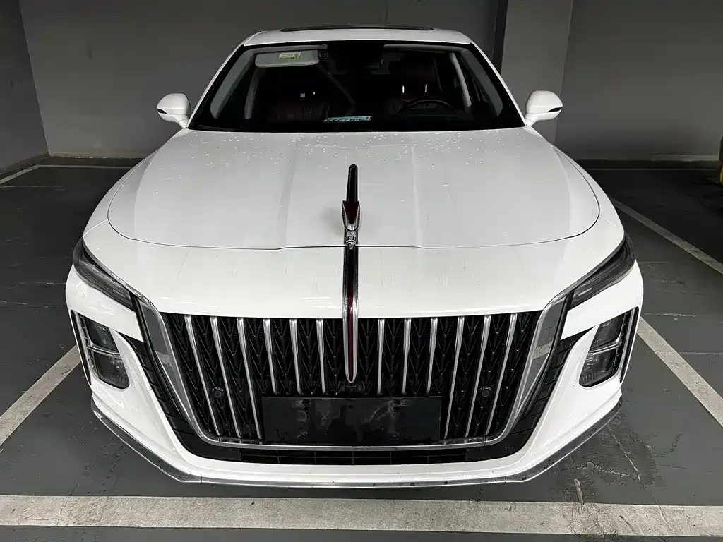 Hongqi H5 2023 из CN, фото 2