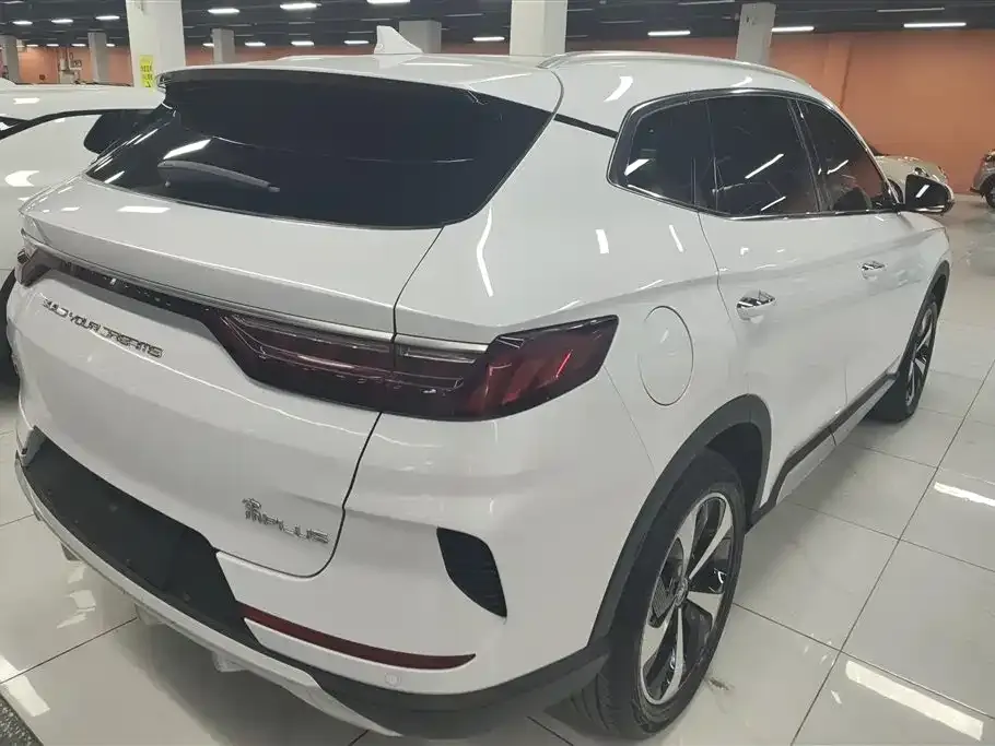 BYD PLUS New Energy 2023 из CN, фото 3