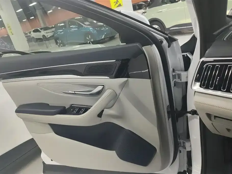 BYD PLUS New Energy 2023 из CN, фото 7