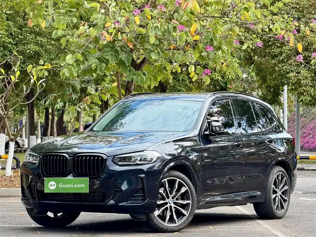 BMW X3 2025 из CN, фото 2