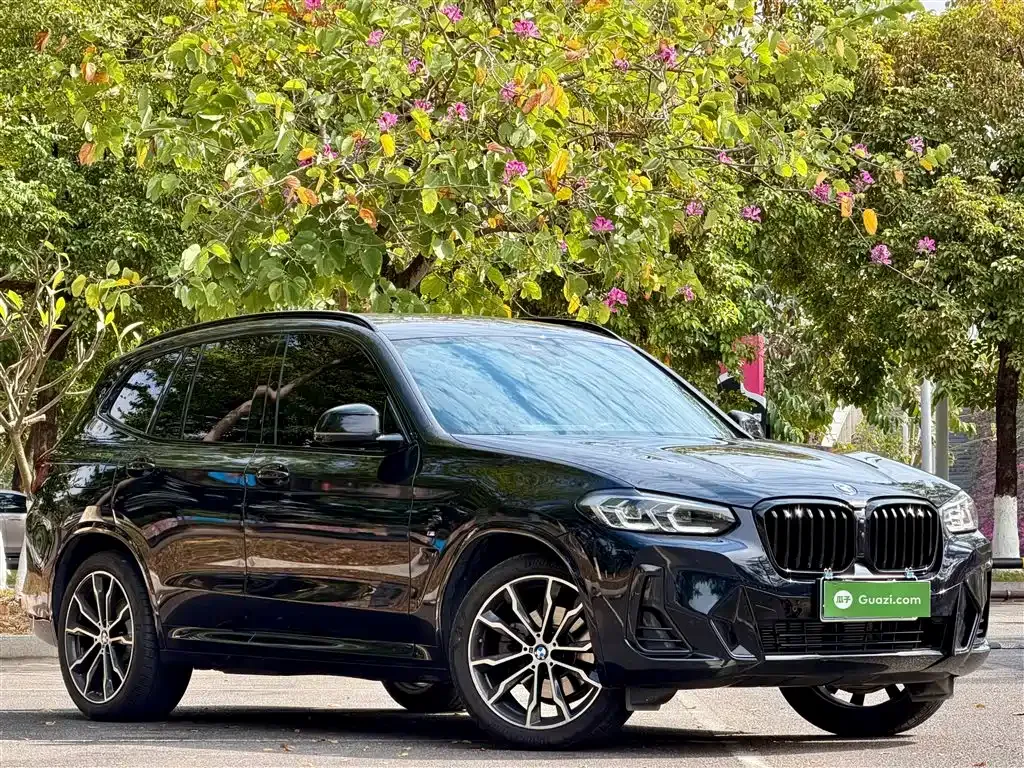 BMW X3 2025 из CN, фото 4