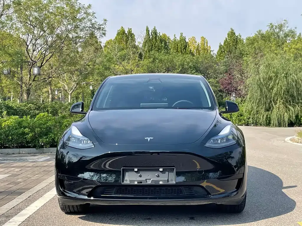 Tesla Model Y — фото 2