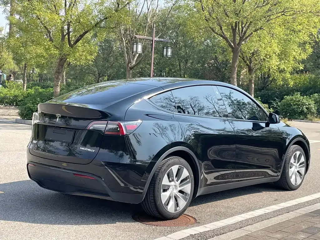 Tesla Model Y — фото 4