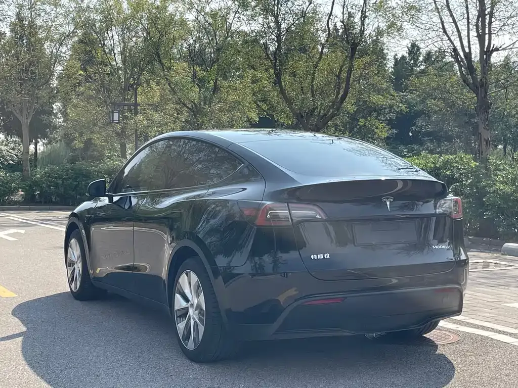 Tesla Model Y — фото 6