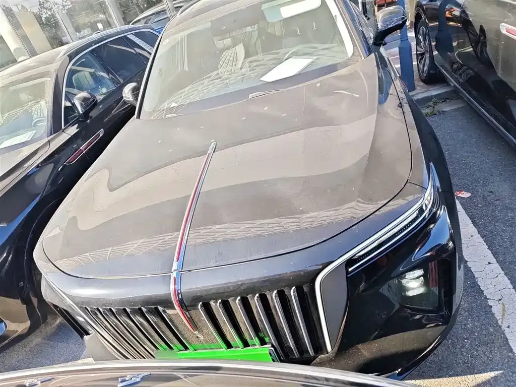 Hongqi E-HS9 2023 из CN, фото 3