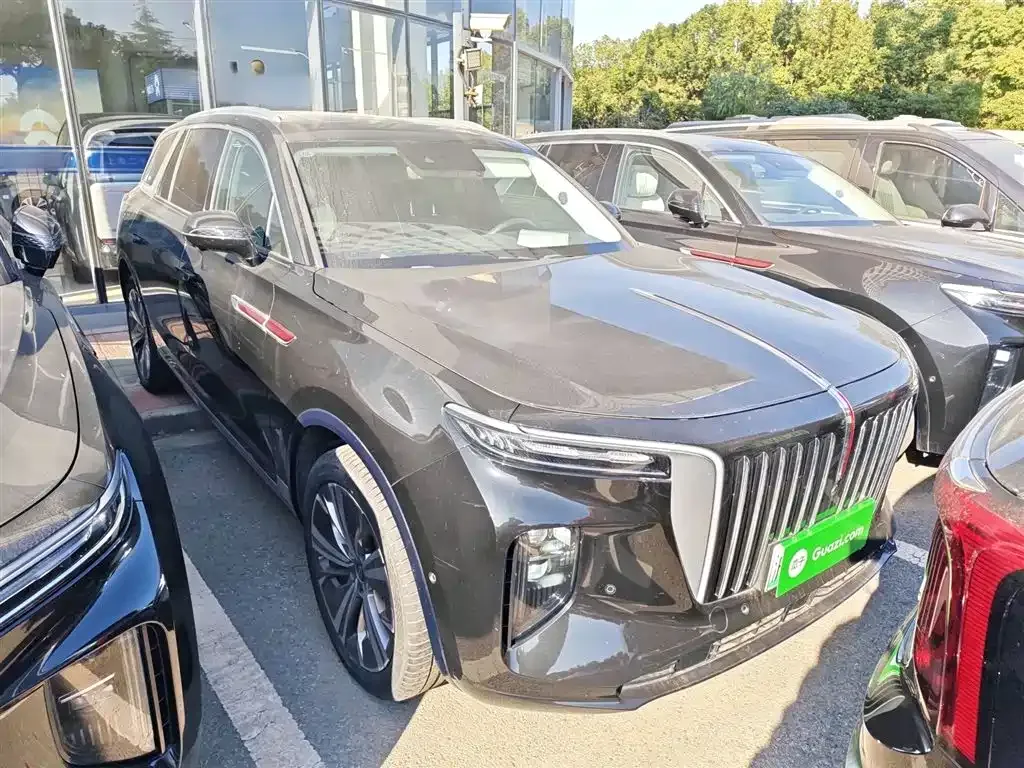 Hongqi E-HS9 2023 из CN, фото 4