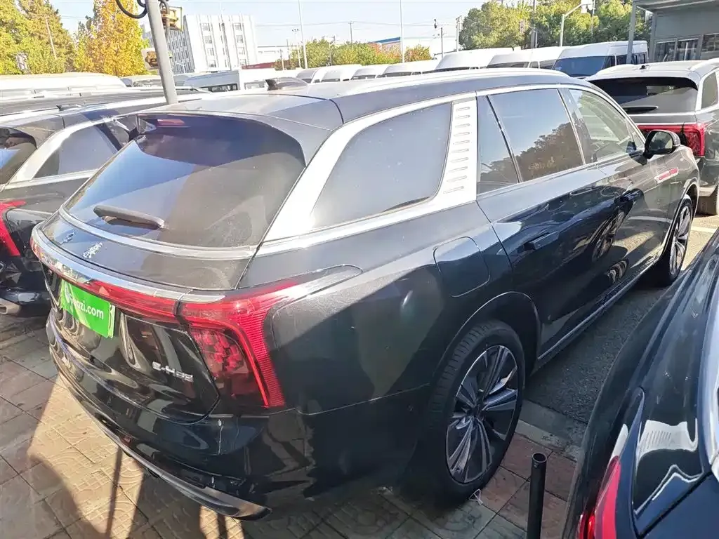 Hongqi E-HS9 2023 из CN, фото 7