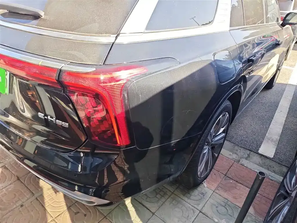 Hongqi E-HS9 2023 из CN, фото 8