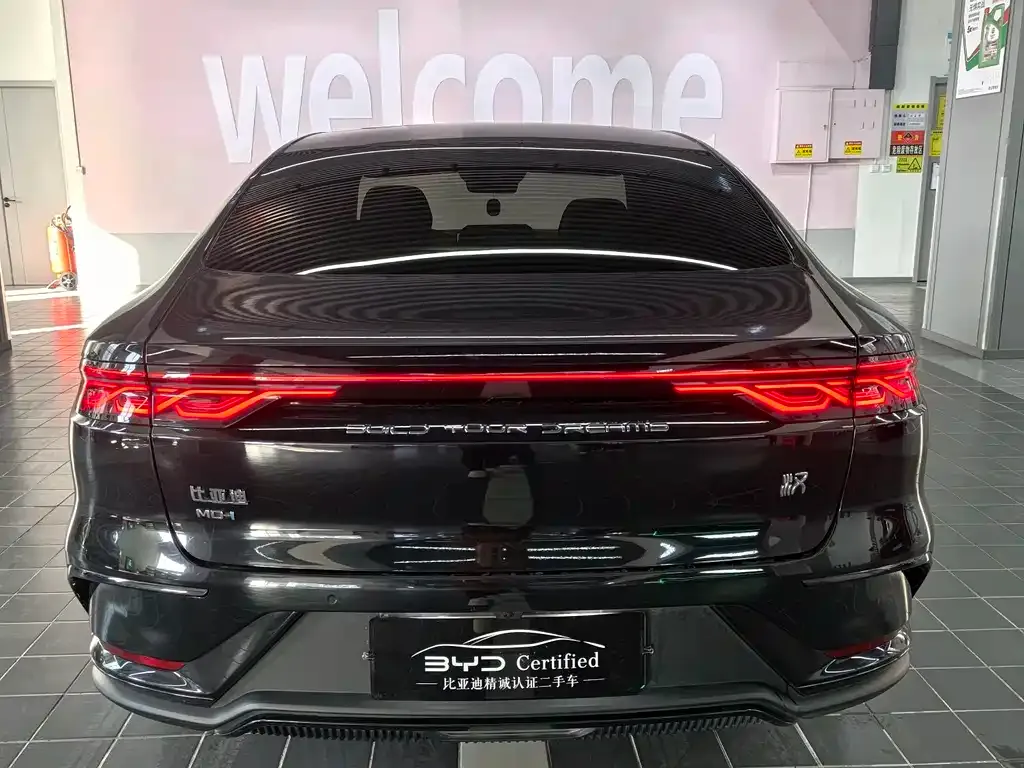 BYD Han 2023 из CN, фото 8