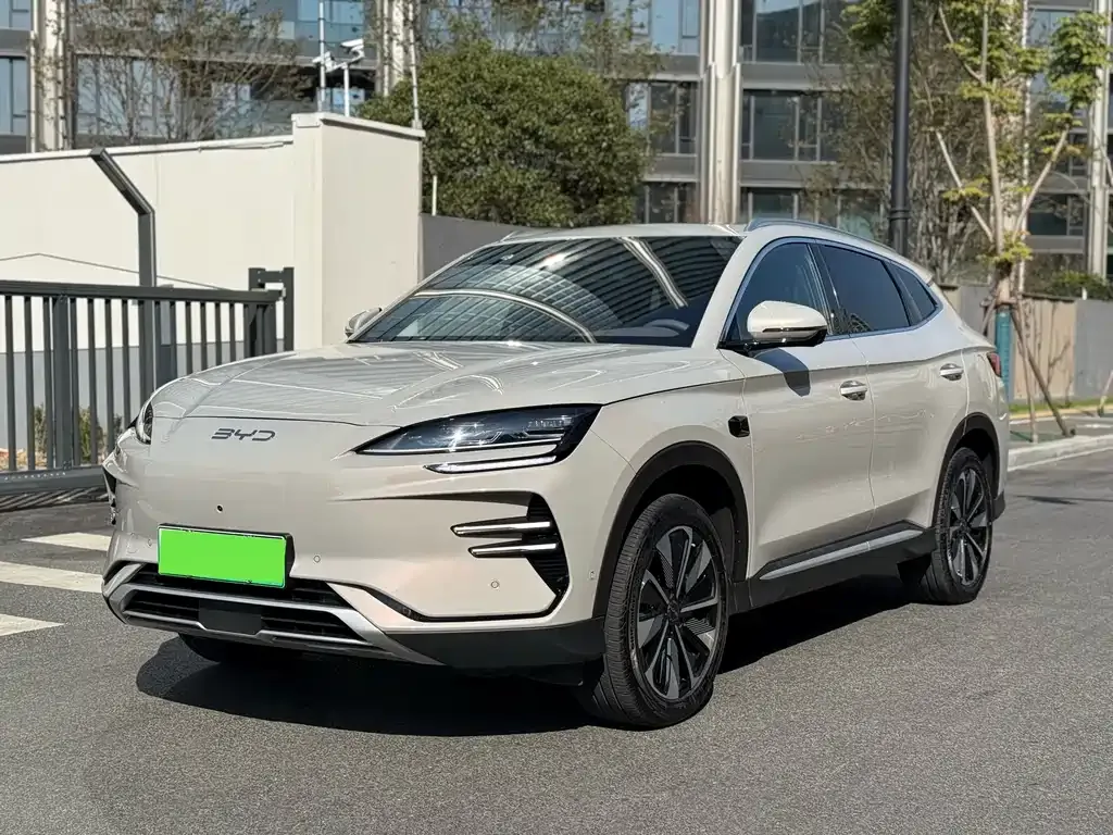 BYD PLUS New Energy 2025 из CN, фото 1