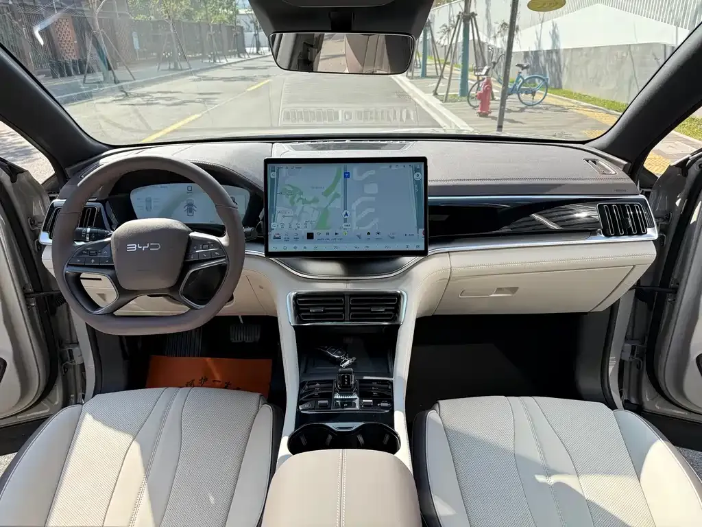 BYD PLUS New Energy 2025 из CN, фото 6