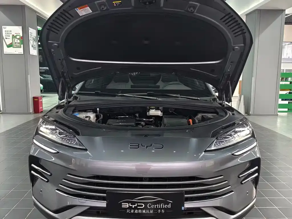 BYD PLUS New Energy 2025 из CN, фото 2